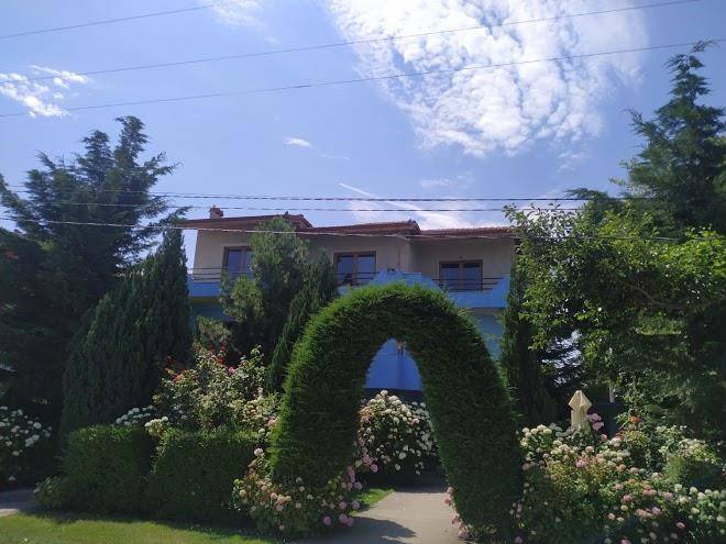 Hotel dea drilon