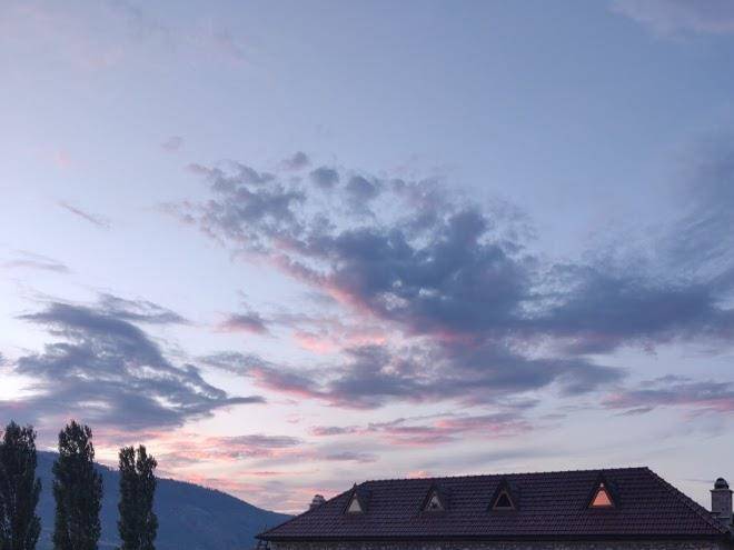Bujtina gjana