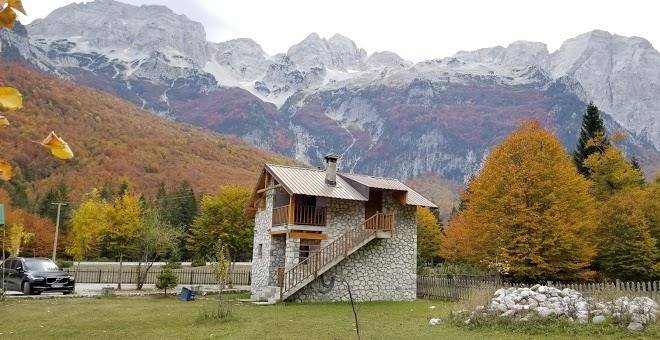 Krojet e rrogamit