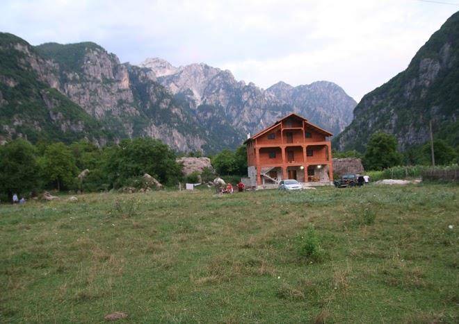 Bujtina dreni