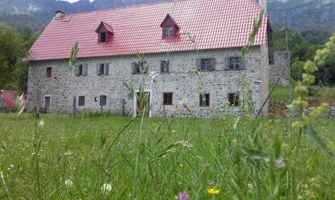Bujtina terthorja theth