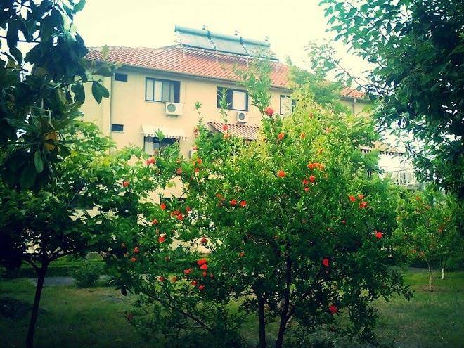 Hotel viktoria tirana