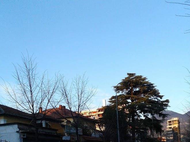 Vila korani