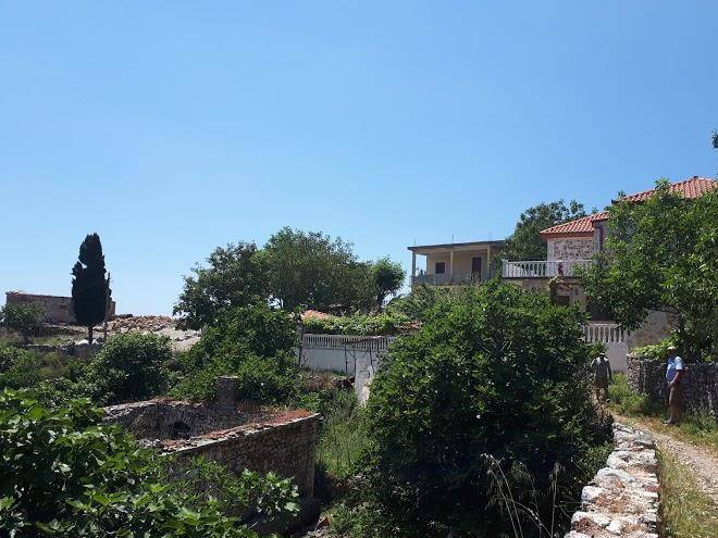 Vila cipa