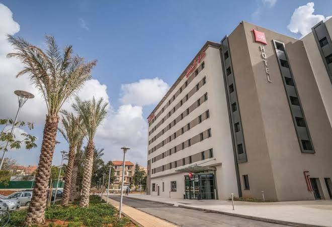 Ibis setif