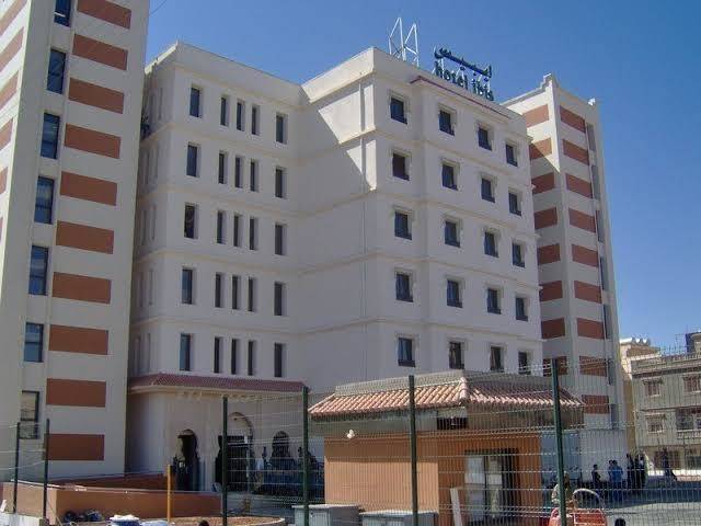 Ibis tlemcen