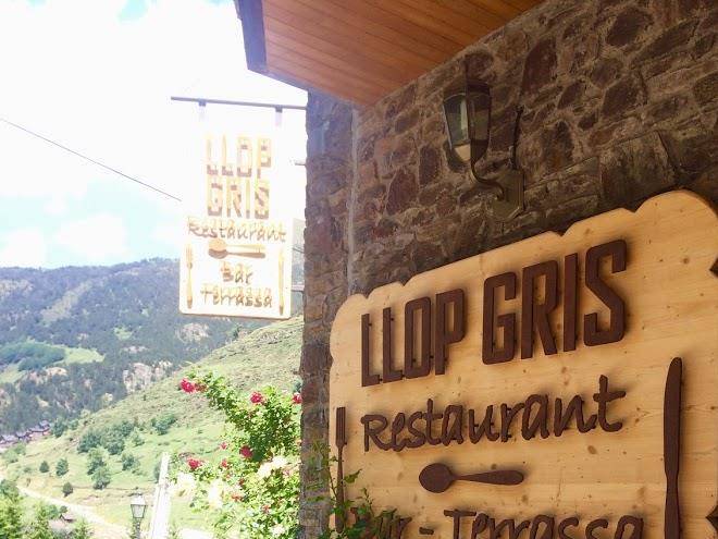 Hotel llop gris