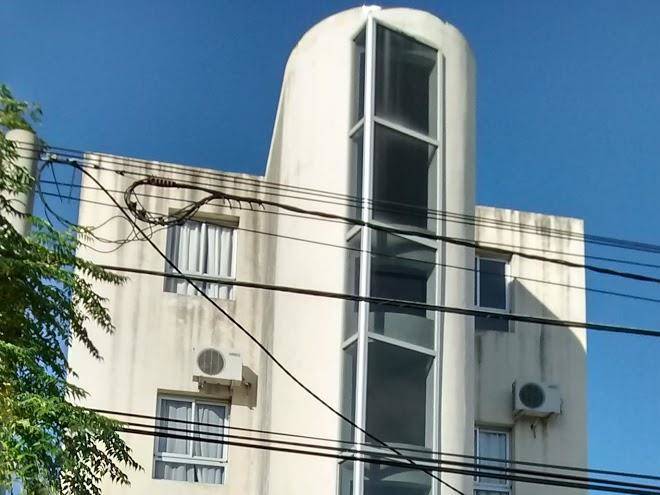 Hotel morada suites