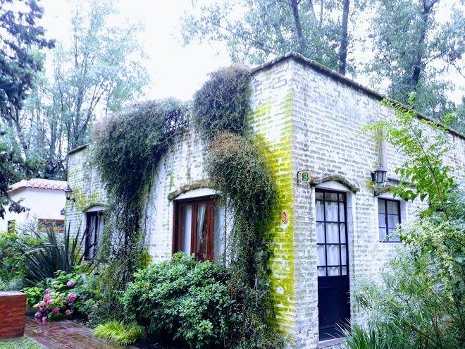 Cuidarte El Alma Image