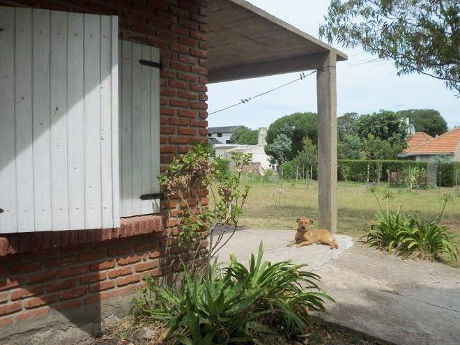 La casita de lobos