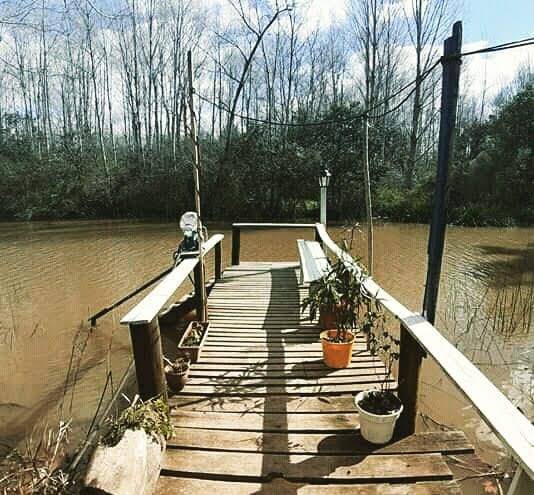 Cabana aleluya delta tigre