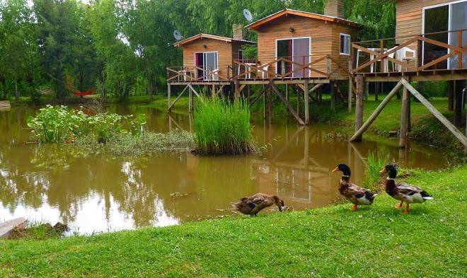 Rio manso tigre