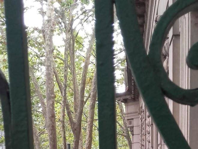 Vendras Alguna Vez Image