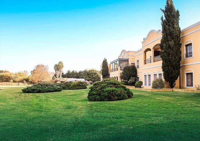Wyndham garden lujan