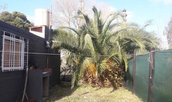 Complejo las palmeras
