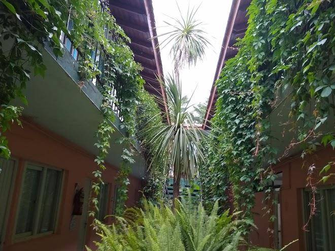 Hosteria punta arena