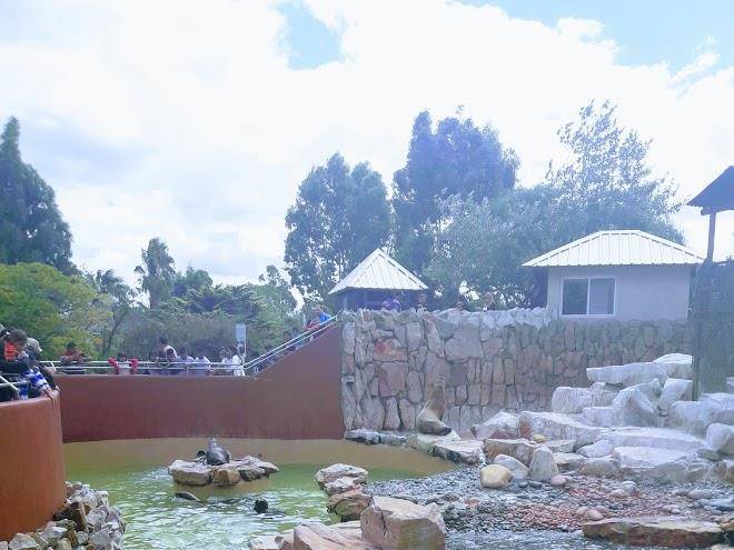 Hotel stella marina
