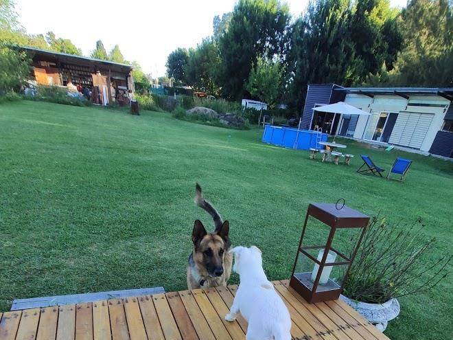 Saimons glamping