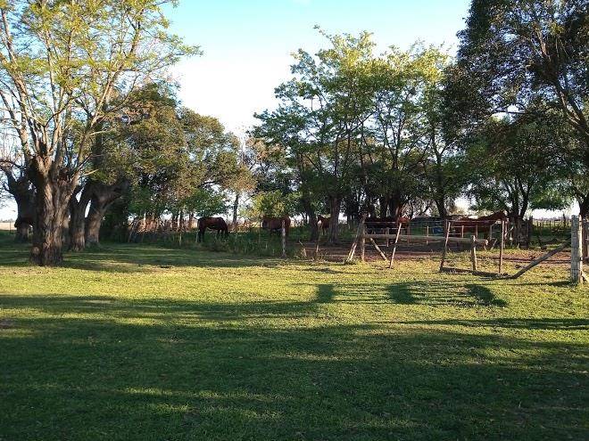 Haras mal paso