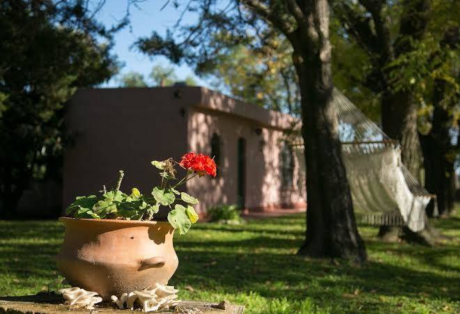 Posada don salvador