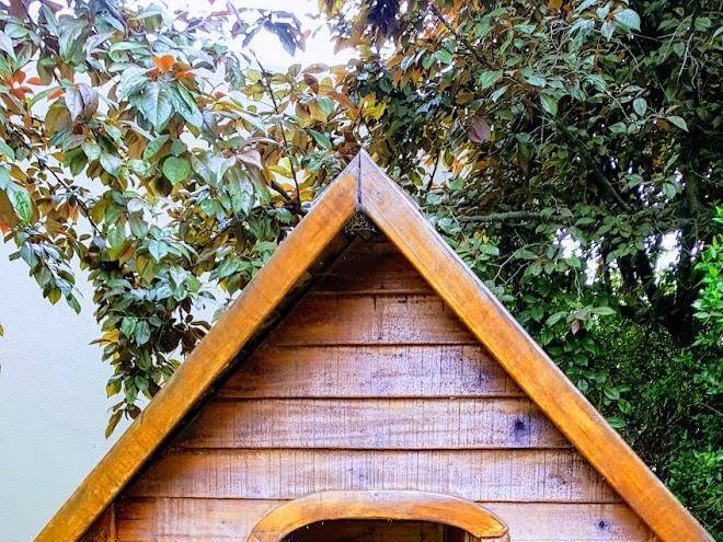 Cabanas posada del pinar