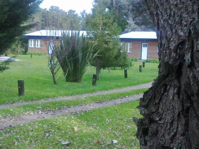 Los arrayanes