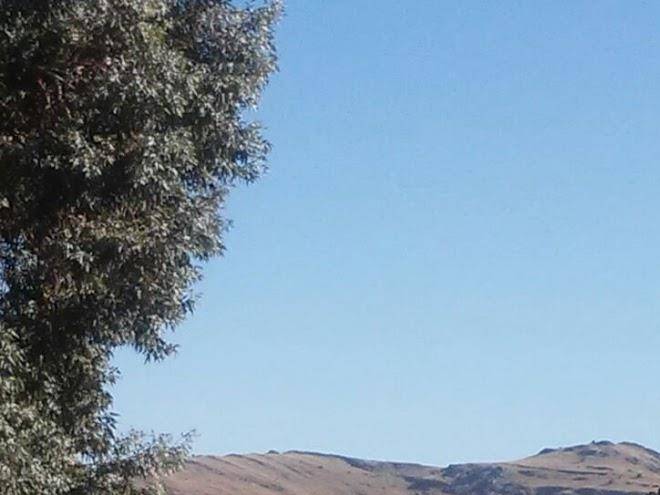 Cabanas asmara