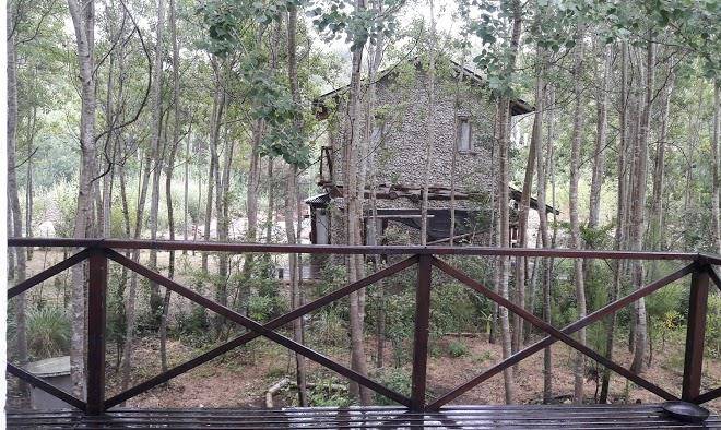 Cabanas del bosque