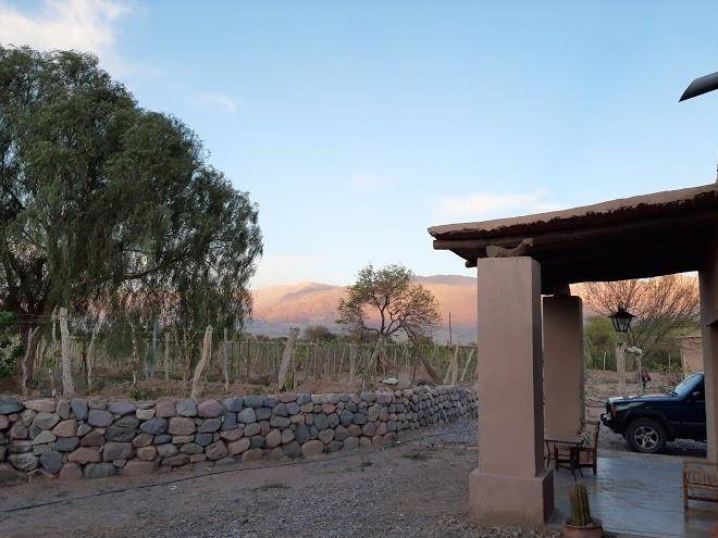 Posada las canas