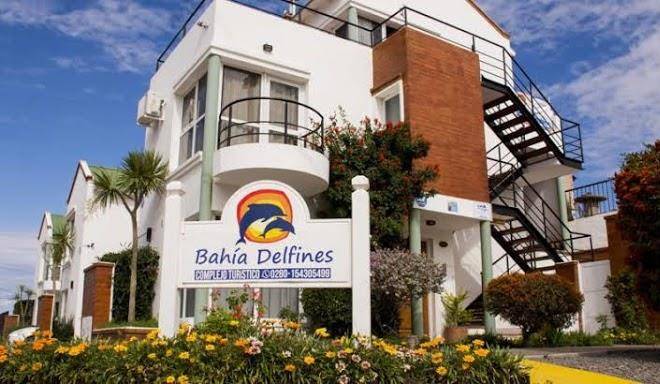 Bahia delfines