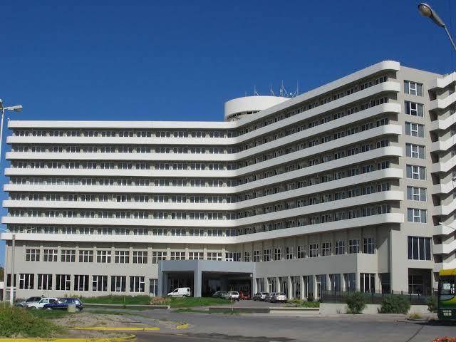Rayentray puerto madryn