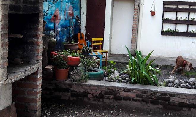 El refugio de las aves