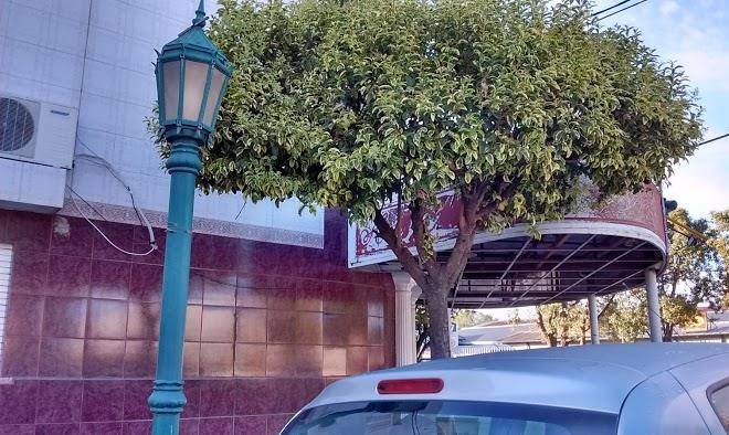 Hotel alem