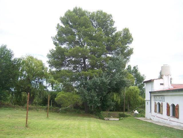 Hosteria las rabonas