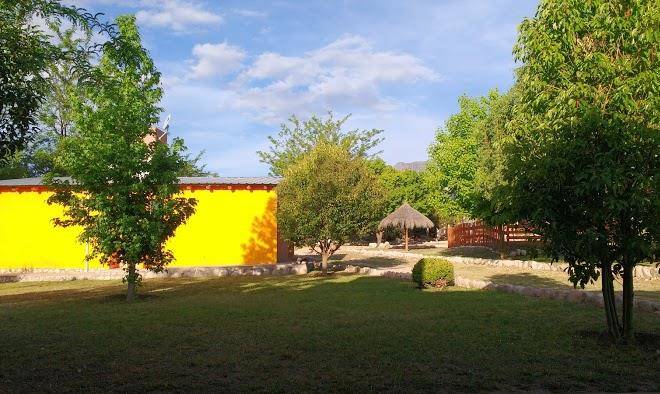 Las glicinas