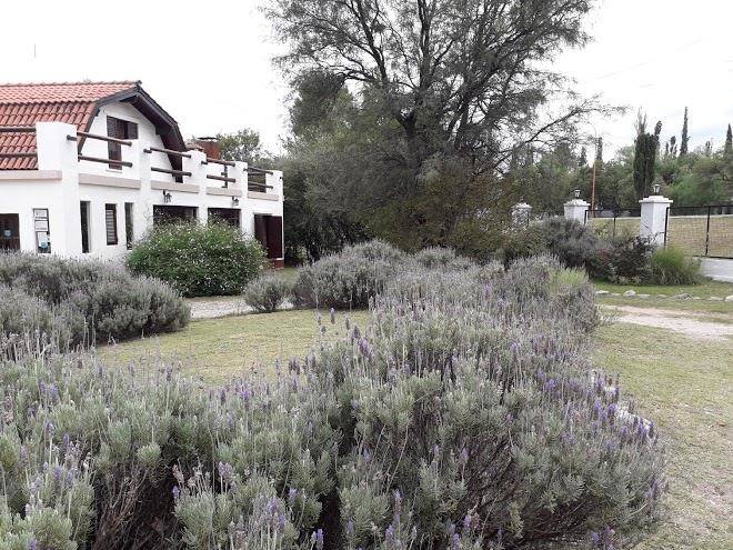 Restaurante el aguaribay