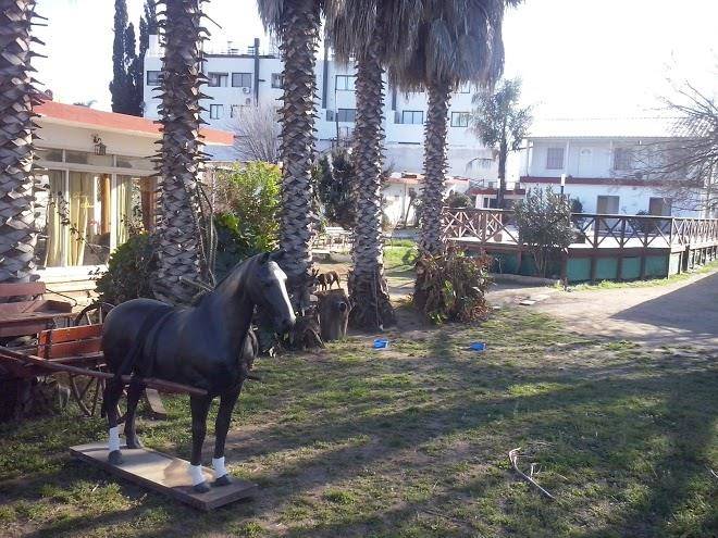 Hotel ibiza
