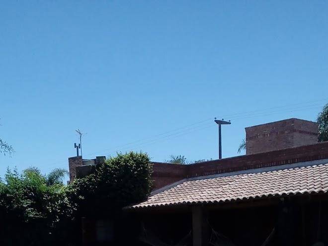 Hospedaje las violetas