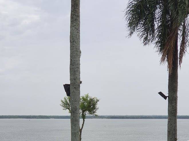 Cabanas jardin del parana pesca deportiva