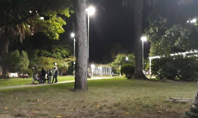 El paraiso de dardo