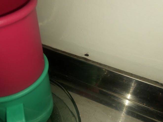 Sarmiento monoambiente