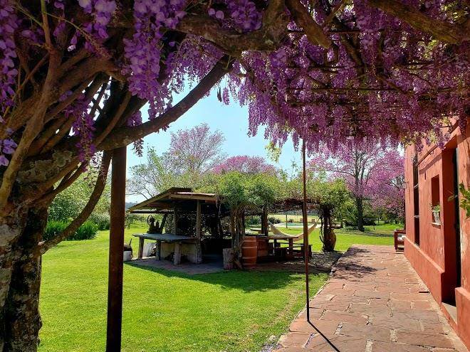 Estancia la violeta