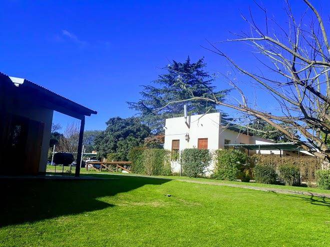 El zorzal victoria