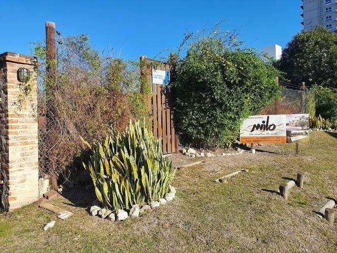 La cabana de milo