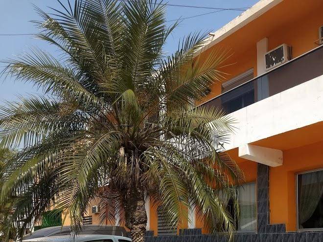 Hotel real nuevo
