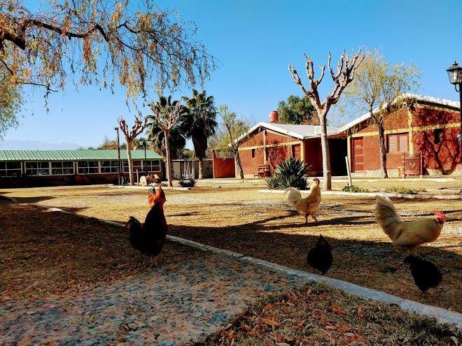 Cabanas las vinas