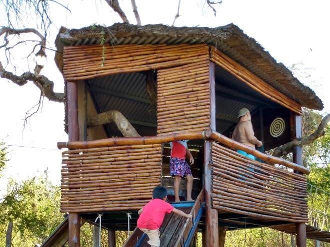 Cabana duraznillo