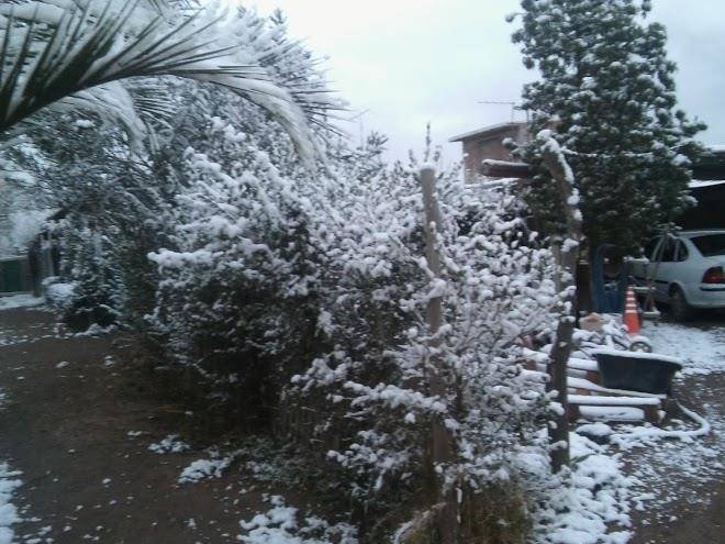 El aguamiel