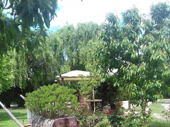 Cabanas el cortijo