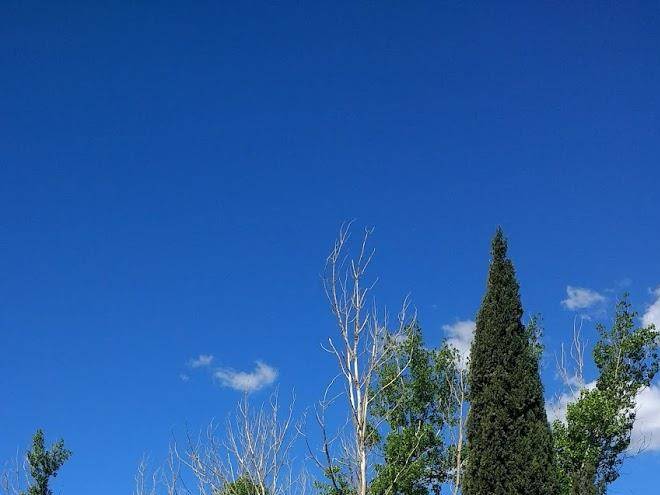 Finca don francisco